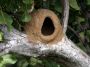 Day02 - 27 * Oven Bird Nest